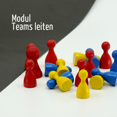 Mehrere rote, gelbe und blaue Spielfiguren aus Holz auf weißem und schwarzem Untergrund, daneben der Text 'Modul 1'